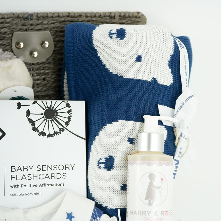 Baby Boy Gift Hamper, Organic Baby Boy Clothing Set And Organic Baby Blanket, Recycled Baby Elephant Soft Toy, Etta Loves Sensory Cards