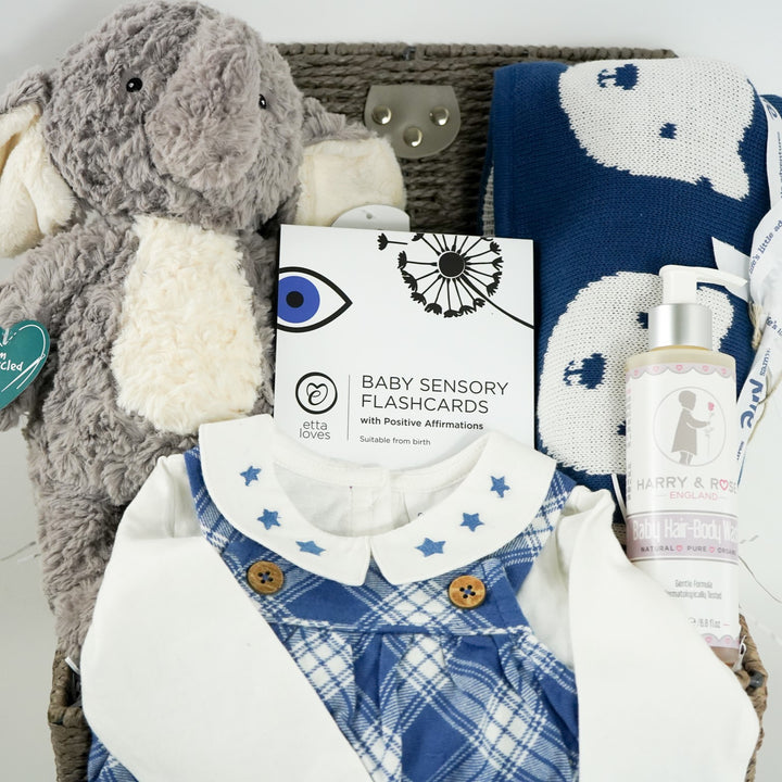 Baby Boy Gift Hamper, Organic Baby Boy Clothing Set And Organic Baby Blanket, Recycled Baby Elephant Soft Toy, Etta Loves Sensory Cards