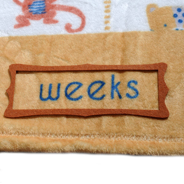 White with safari animals baby milestone blanket