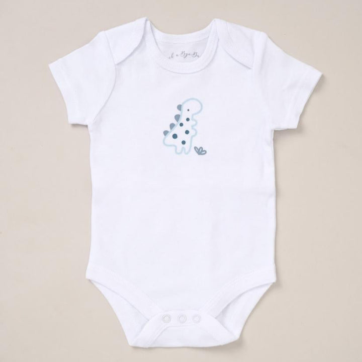 baby boy clothing layette in blue with dinosaurs
