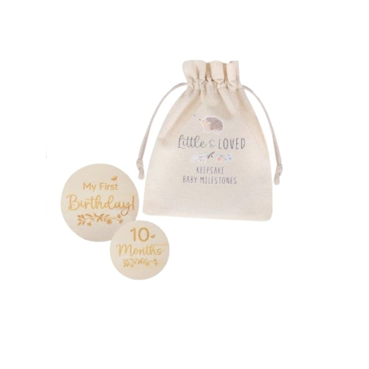 baby milestone discs in a drawstring bag