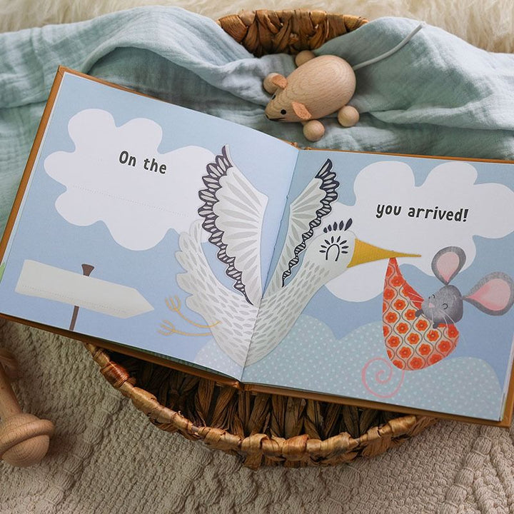 The Day You Were Born In November, Baby Gift Book