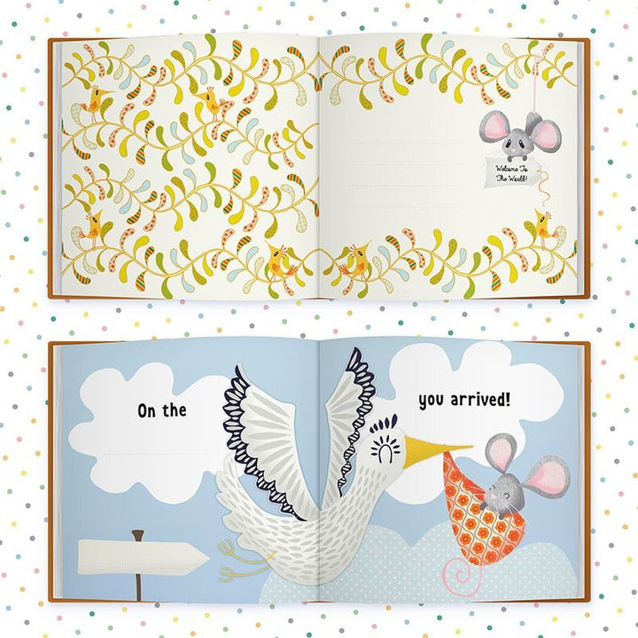 The Day You Were Born In November, Baby Gift Book