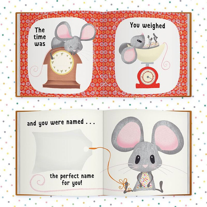The Day You Were Born In November, Baby Gift Book