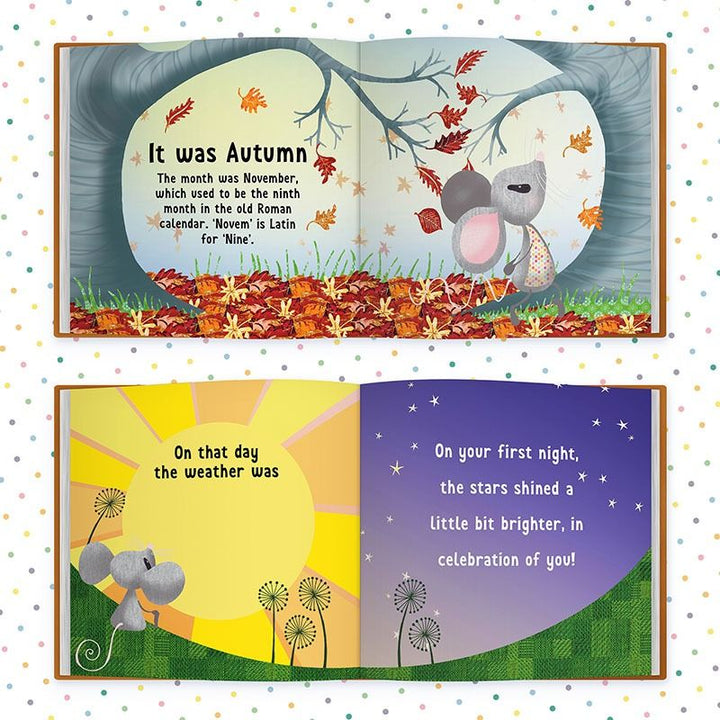The Day You Were Born In November, Baby Gift Book