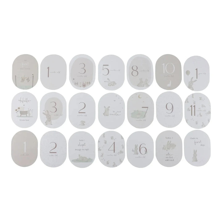 Little dutch bunny milestone cards in a box