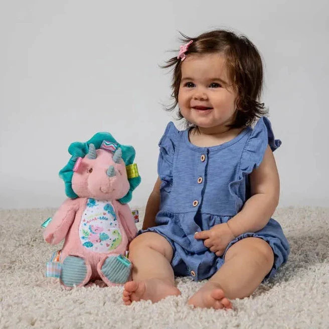 Baby Comforters & Taggies