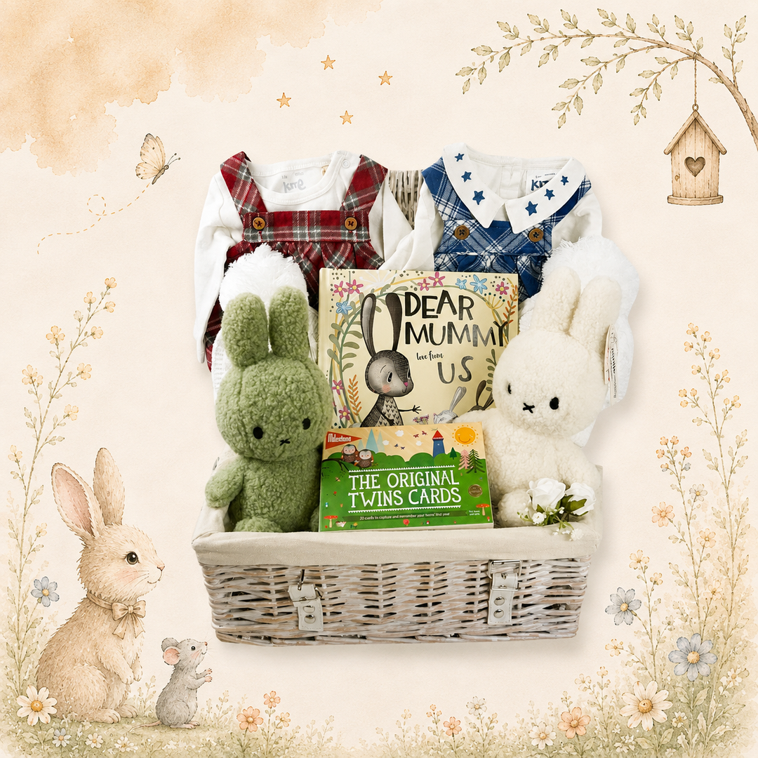 Twin Baby Hampers