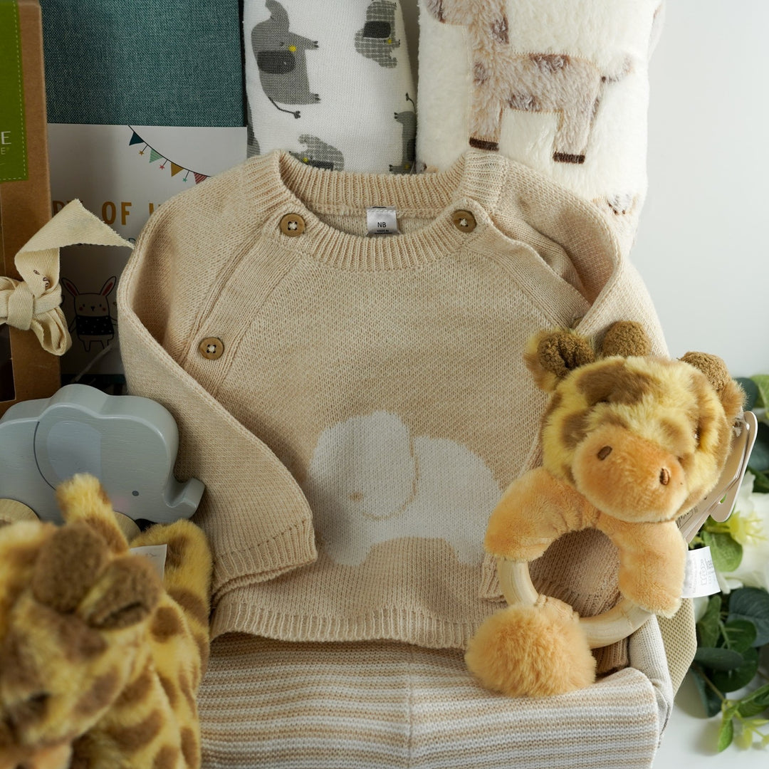 Baby Clothing Sets