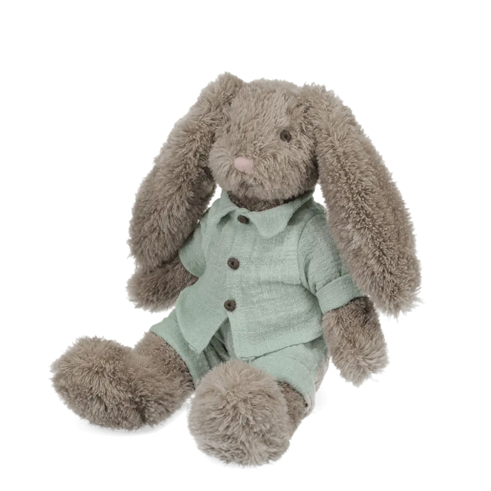 Bunny In Blue Outfir