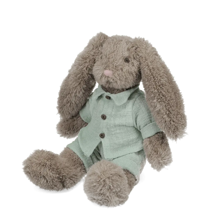 Bunny In Blue Outfir