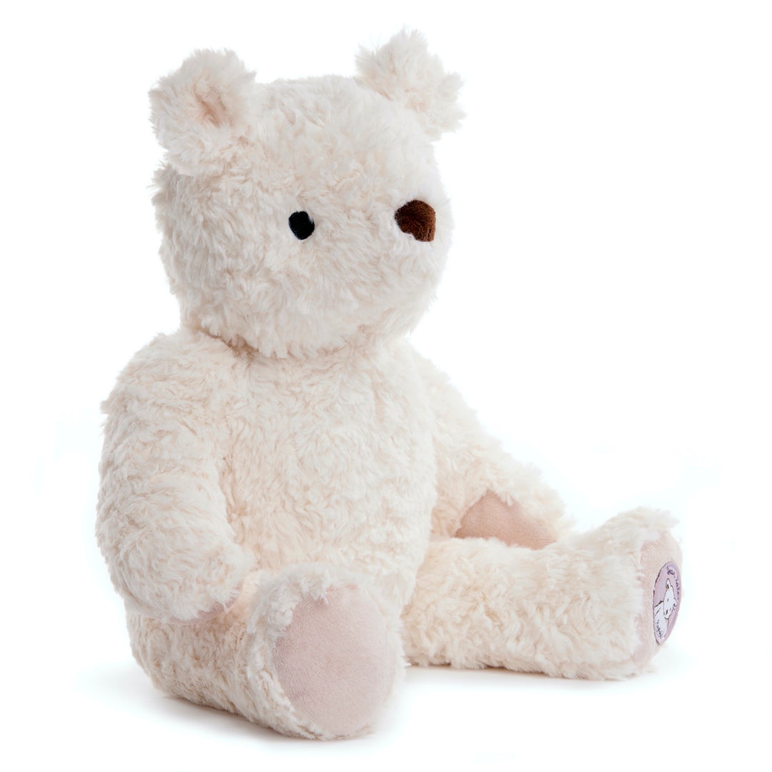 Teddy in cream with embroidered nose and eyes in a gift box