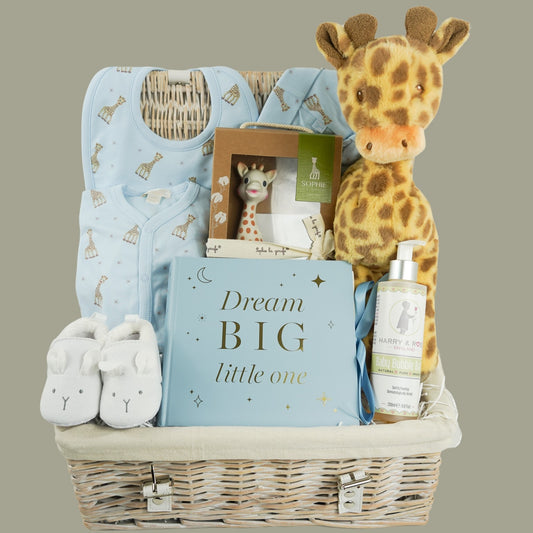 Baby Boy Sophie La Giraffe Baby Hamper Baskets, Luxury Kissy Kissy Baby Outfit, Giraffe Plush