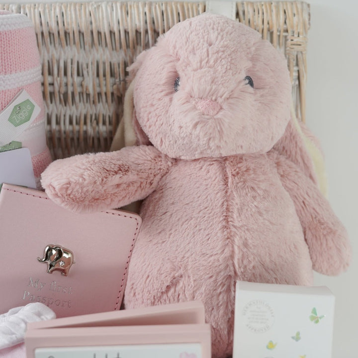 White hamper basket with baby girl gifts including pink baby quilted outfit with white frilled collar, baby pink passport holder and luggage label with silver elephant, pink and white heavy knit baby blanket, pink soft cuddly eco friendly bunny, little butterfly london organic baby and mum massage oil in a box, wooden forever congratulation card