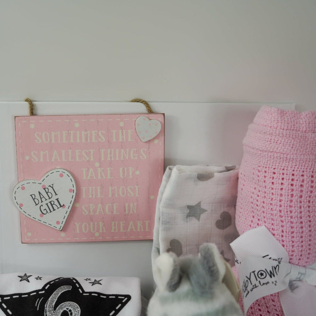 baby girl hamper box with 3 milestone vests, baby cellular blanket in pink, pink knit booties , zebra eco friendly soft toy and matching comforter , pink nursery plaque