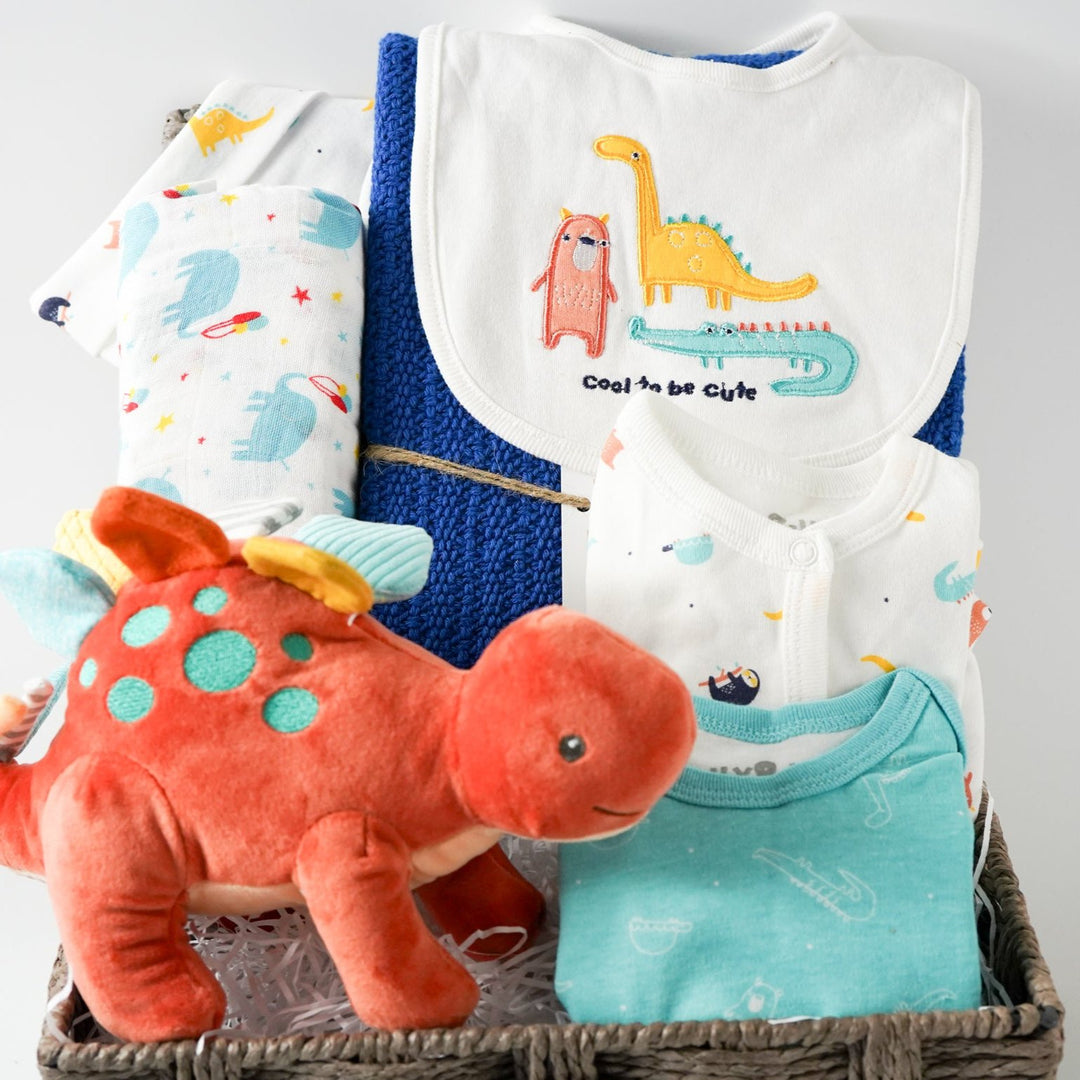 Baby Boy Dinosaur Hamper Basket, Baby Clothing Outfit, Dinosaur Taggie