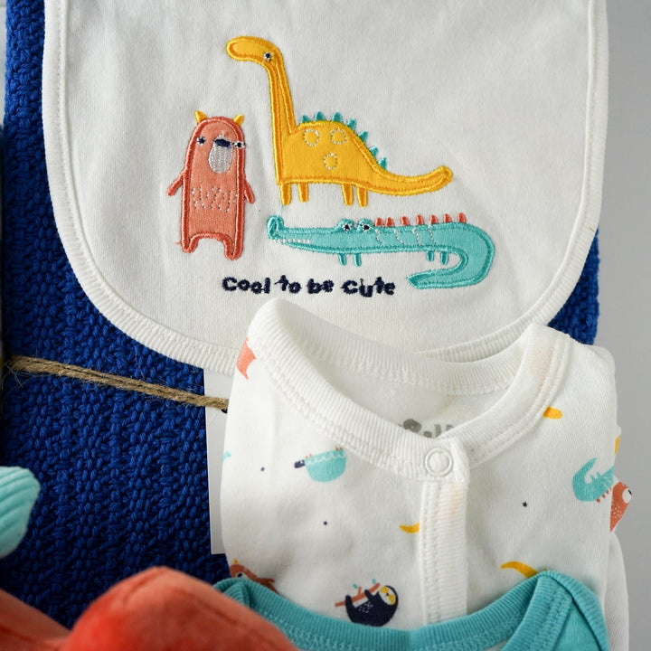 Baby Boy Dinosaur Hamper Basket, Baby Clothing Outfit, Dinosaur Taggie