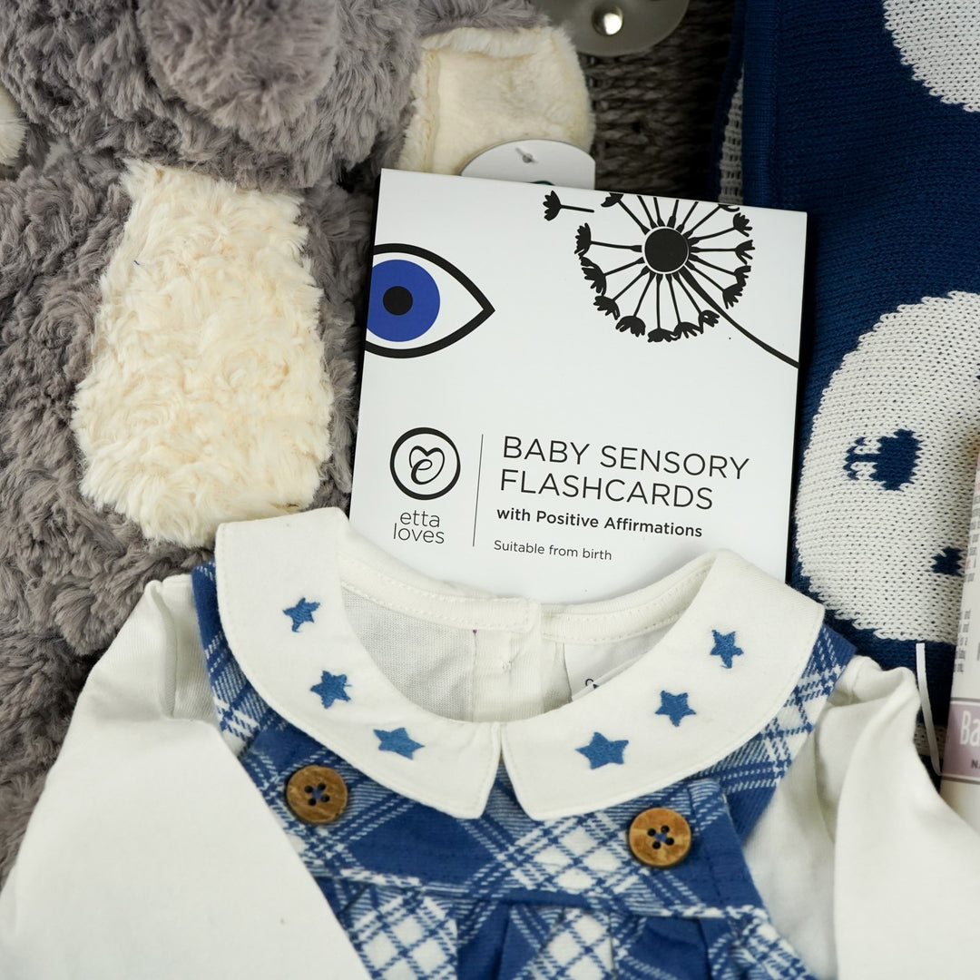 Baby Boy Gift Hamper, Organic Baby Boy Clothing Set And Organic Baby Blanket, Recycled Baby Elephant Soft Toy, Etta Loves Sensory Cards