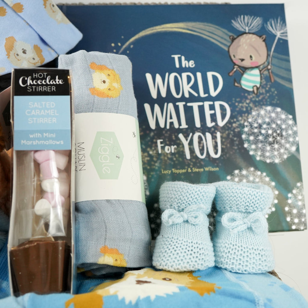 baby boy hamper box with blue puppy baby comforter with taggies, blue legging with a puppy on the bum, blue socks with puppy head, baby blue booties,  blue baby muslin with puppy, blue knot hat with puppy, blue cellular baby blanket, 'The world waited for you ' book