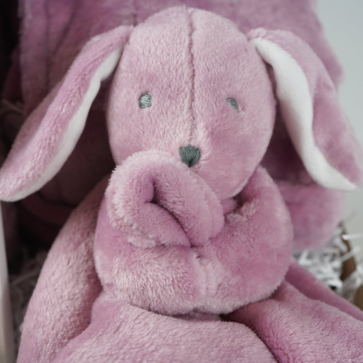 aby gift set with pink plush baby comforter in pink with matching dressing gown and blanket all in a dusky pink fleece , baby white knot hat and white knit booties and baby milestone cards packaged in a  box