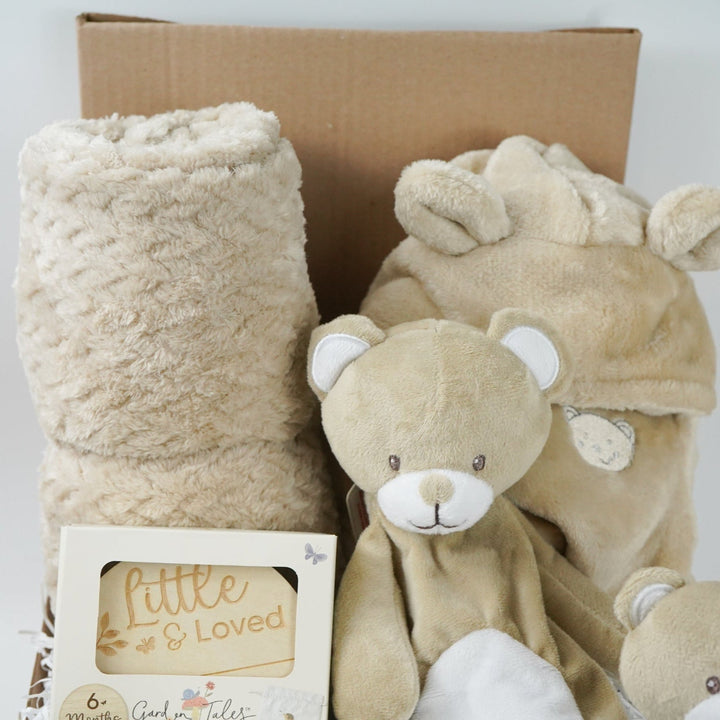 Baby gift set with teddy bears, blanket, wooden  milestone discs and booties in a box 