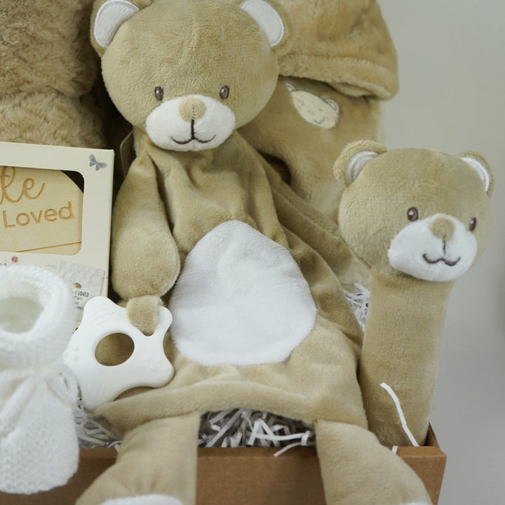 Baby gift set with teddy bears, blanket, wooden  milestone discs and booties in a box 