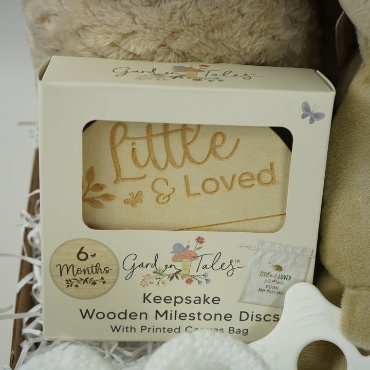 Baby gift set with teddy bears, blanket, wooden  milestone discs and booties in a box 
