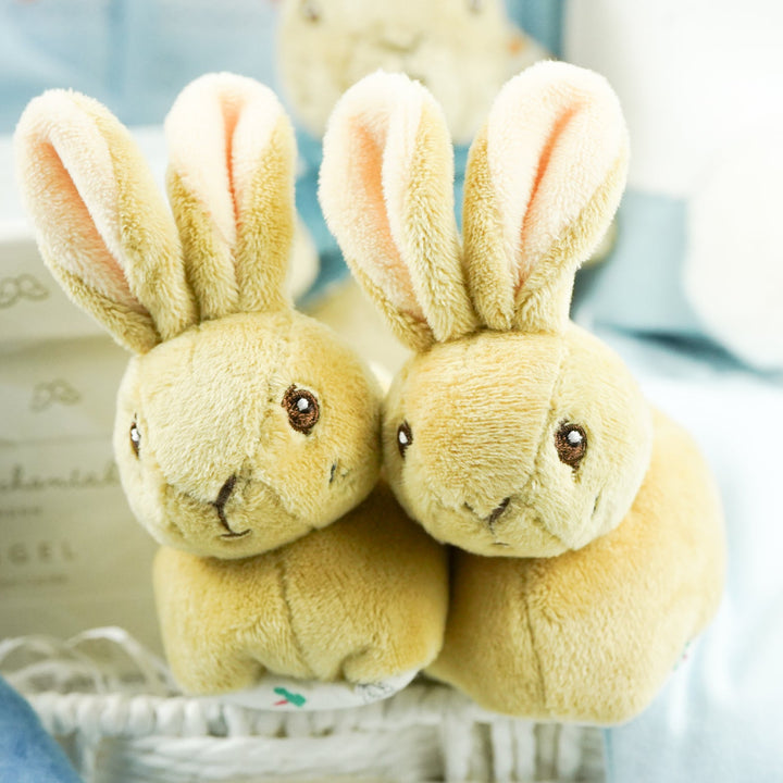 peter rabbit booties 