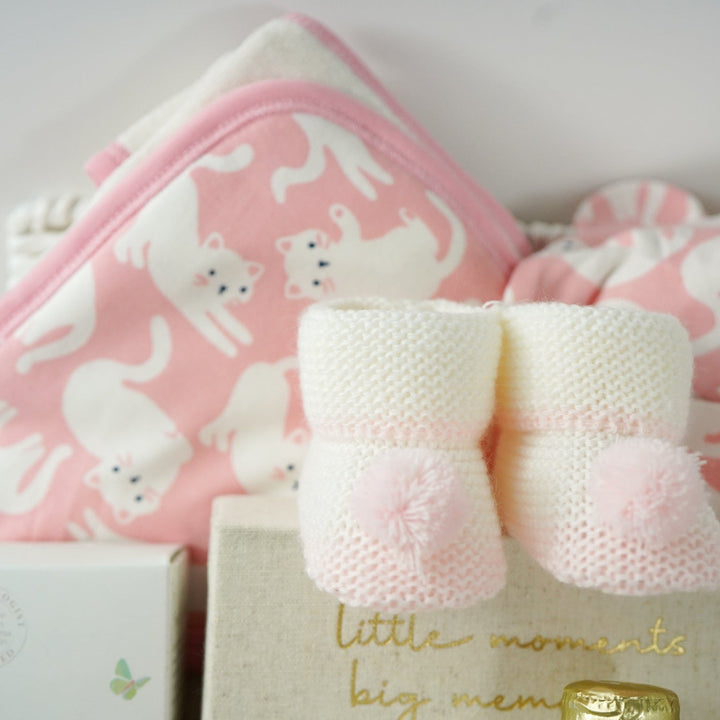 aby gift basket with pink plush toy, pink organic baby clothes, baby pink wrap with kittens, pink organic baby blanket, milestone cards, organic body wash and bottlle of nonsecco 