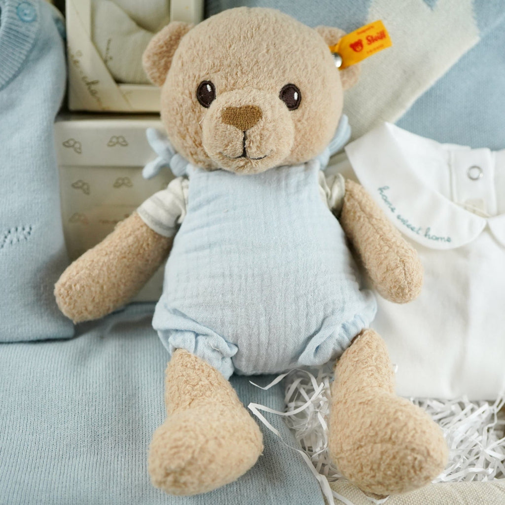 Luxury baby boy gift hamper with luxury baby boy outfit, soft GOPTS Steiff teddy, pack of 7 blue luxury socks, candle, baby hairbrush