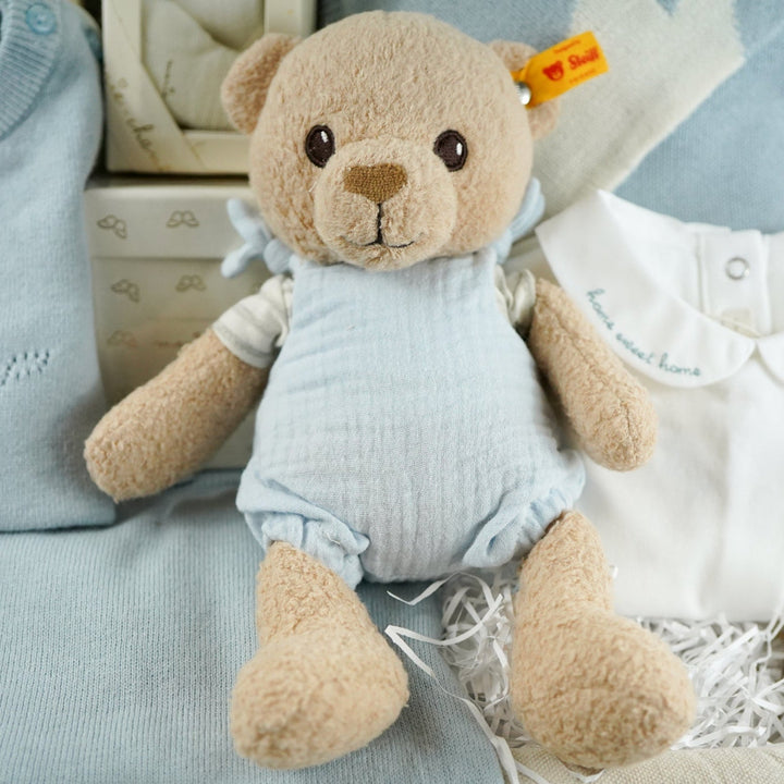 Luxury baby boy gift hamper with luxury baby boy outfit, soft GOPTS Steiff teddy, pack of 7 blue luxury socks, candle, baby hairbrush