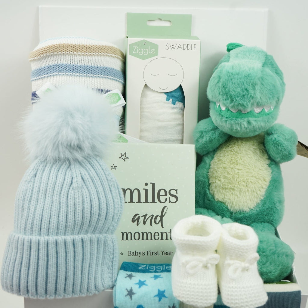 Dinosaur Baby Boy Gift Basket with Soft Baby Blanket