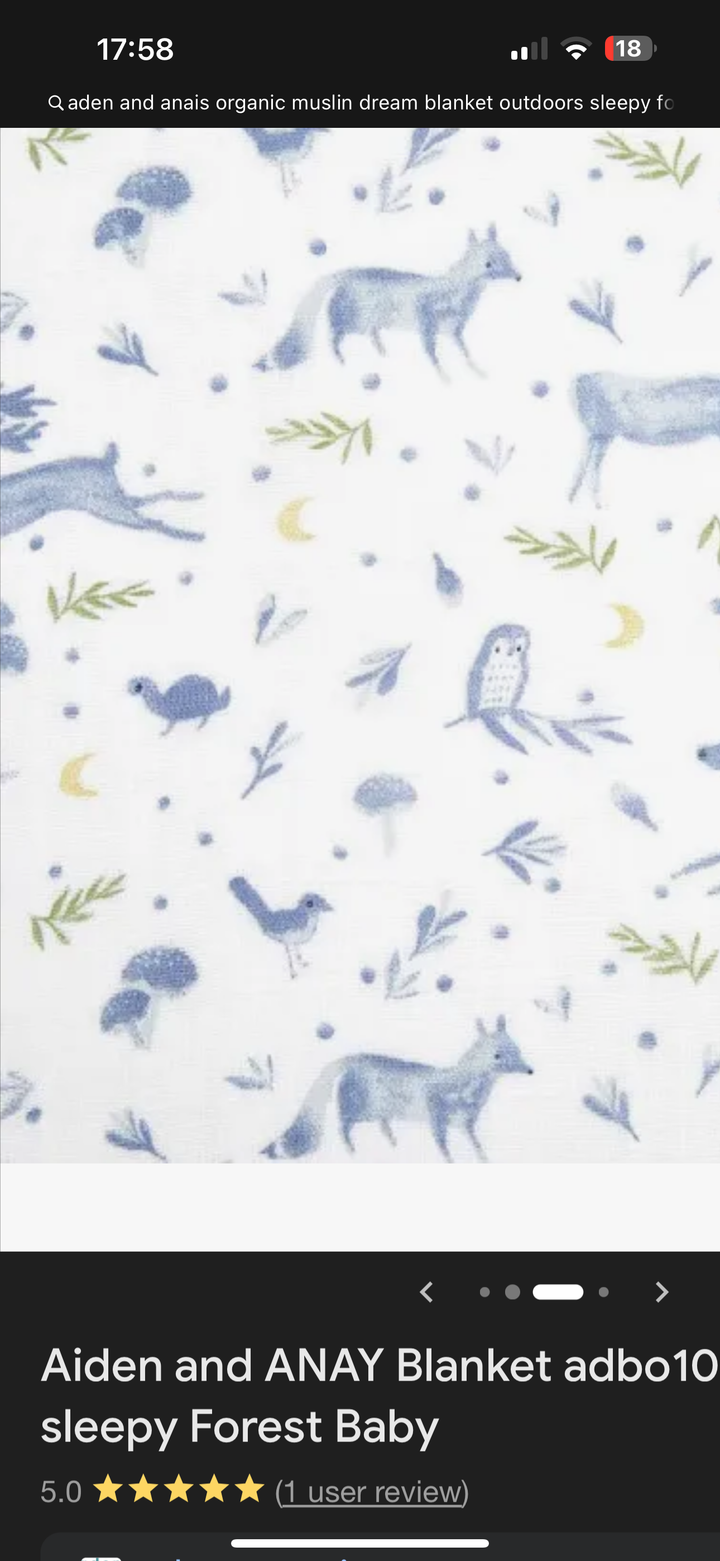 Aden & Anais Organic Muslin Dream Blanket Outdoors Sleepy Forest