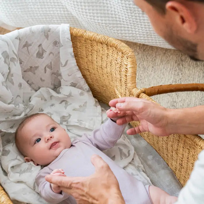 Aden & Anais Organic Cotton Large Swaddle 4 Pack, Animal Kingdom