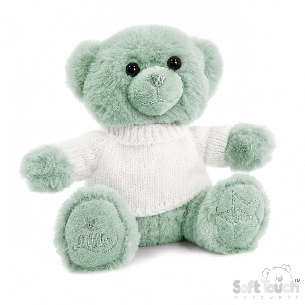 Little Pricess Personalise Teddy Bear