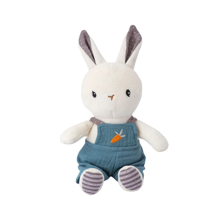 Organic Baby Boy Hamper Gift