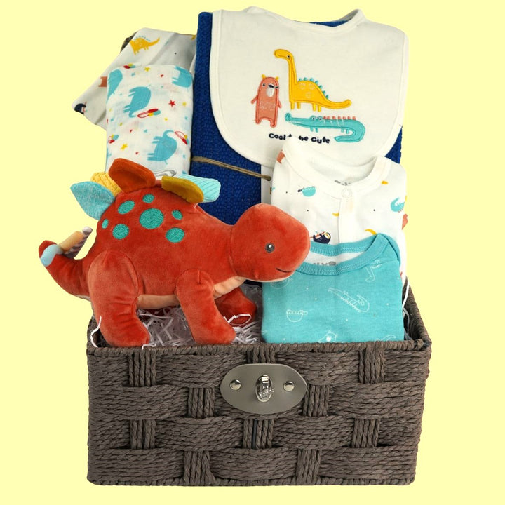 Baby Boy Dinosaur Hamper Basket, Baby Clothing Outfit, Dinosaur Taggie