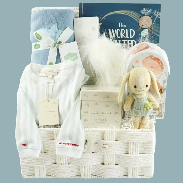 luxury baby boy gift hamper 