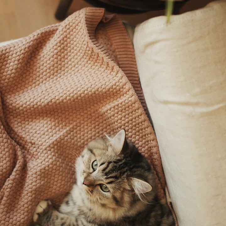 blush pink cotton baby blanket by Avery Rose