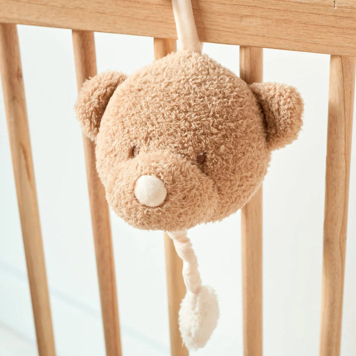 musical teddy soft toy 