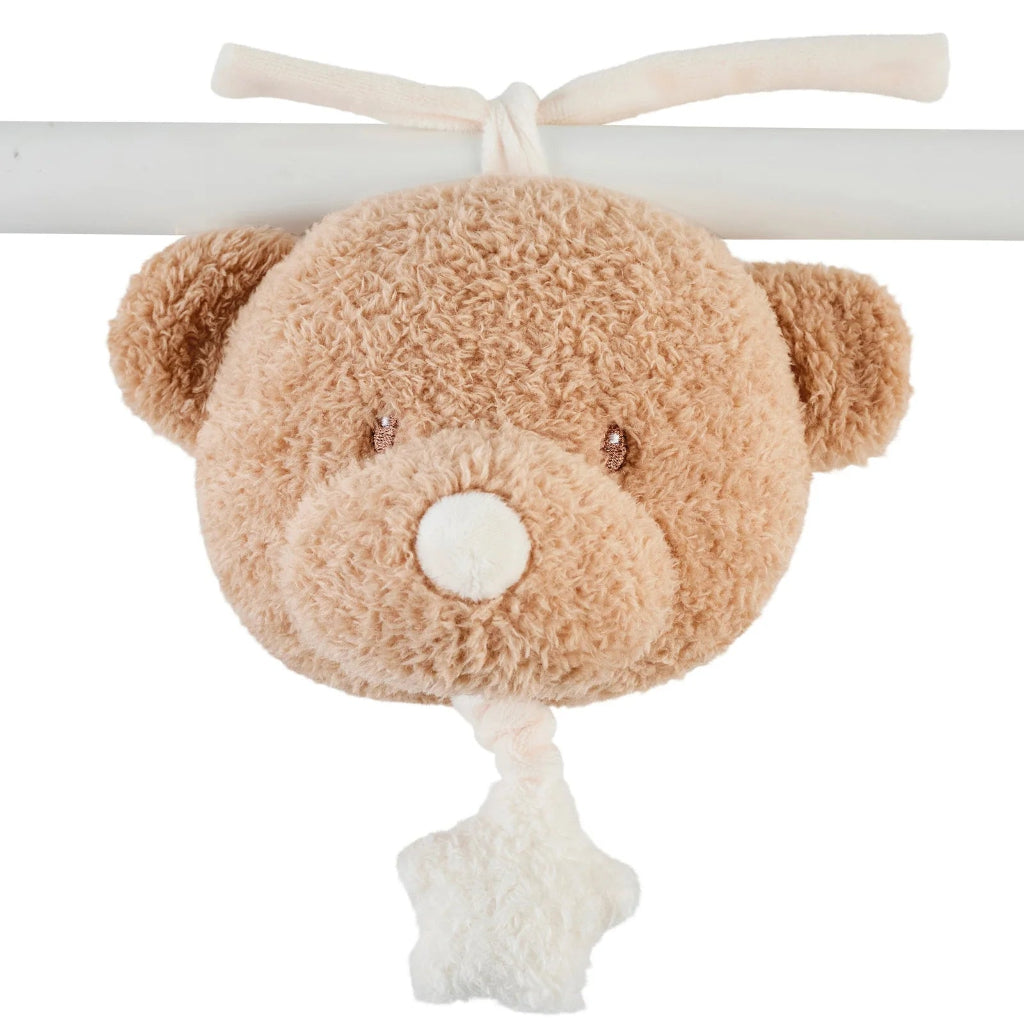 Musical teddy 
