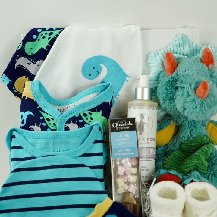 Dinosaur Baby Boy Hamper, Baby Boy Layette, Dinosaur Lovey, New Parents Gift