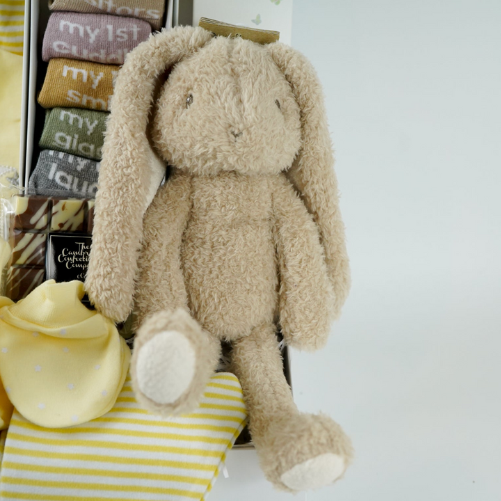 Neutral Baby Hamper And New Mum Gift, Little Dutch Bunny Rabbit, Milestone Baby Socks, Baby Clothing Set, Corporate Baby Gift