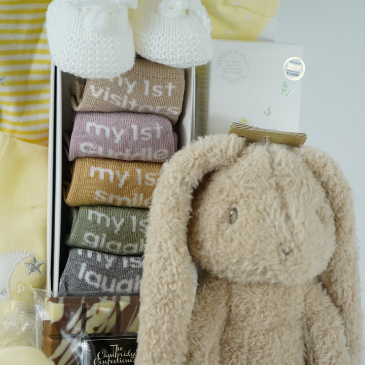 Neutral Baby Hamper And New Mum Gift, Little Dutch Bunny Rabbit, Milestone Baby Socks, Baby Clothing Set, Corporate Baby Gift