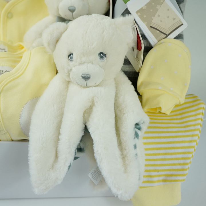 Lemon Neutral Baby Hamper Gift, Corporate Baby Gift, Baby Blanket, Baby Teddy And Plush Comforter