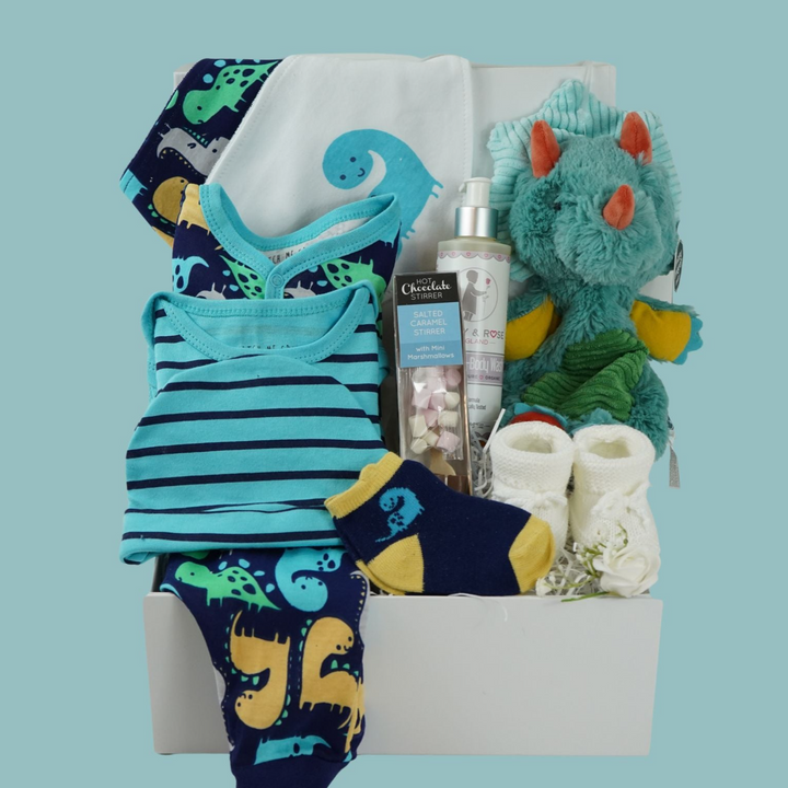 Dinosaur Baby Boy Hamper, Baby Boy Layette, Dinosaur Lovey, New Parents Gift