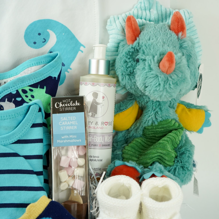 Dinosaur Baby Boy Hamper, Baby Boy Layette, Dinosaur Lovey, New Parents Gift