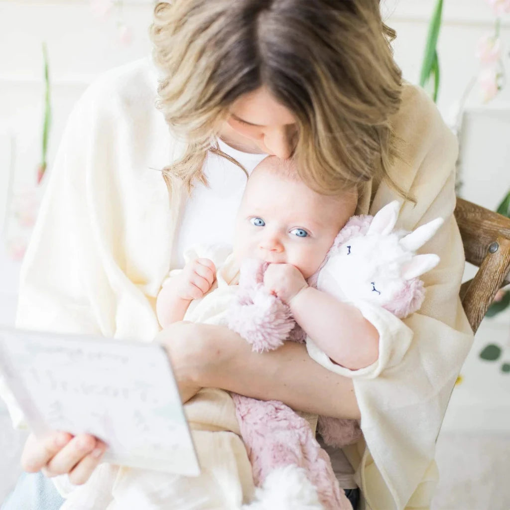 soft pink unicorn snuggler and 2 board books promoting emotional health