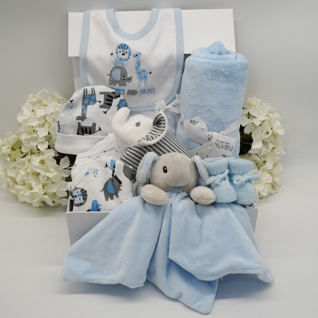 Animal Baby Gift Hampers, Baby Boy Elephant Gift Hamper With Baby Blanket