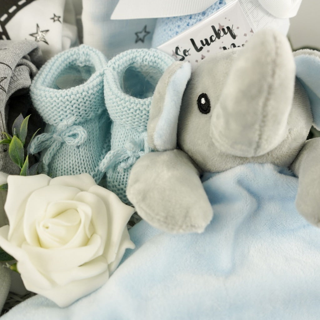 Baby Boy Gift Milestone Hamper Basket, Milestone Baby Vests, Elephant Comforter, Wish Bracelet, Welcome To The World Plaque, Personalised Gifts For Newborns